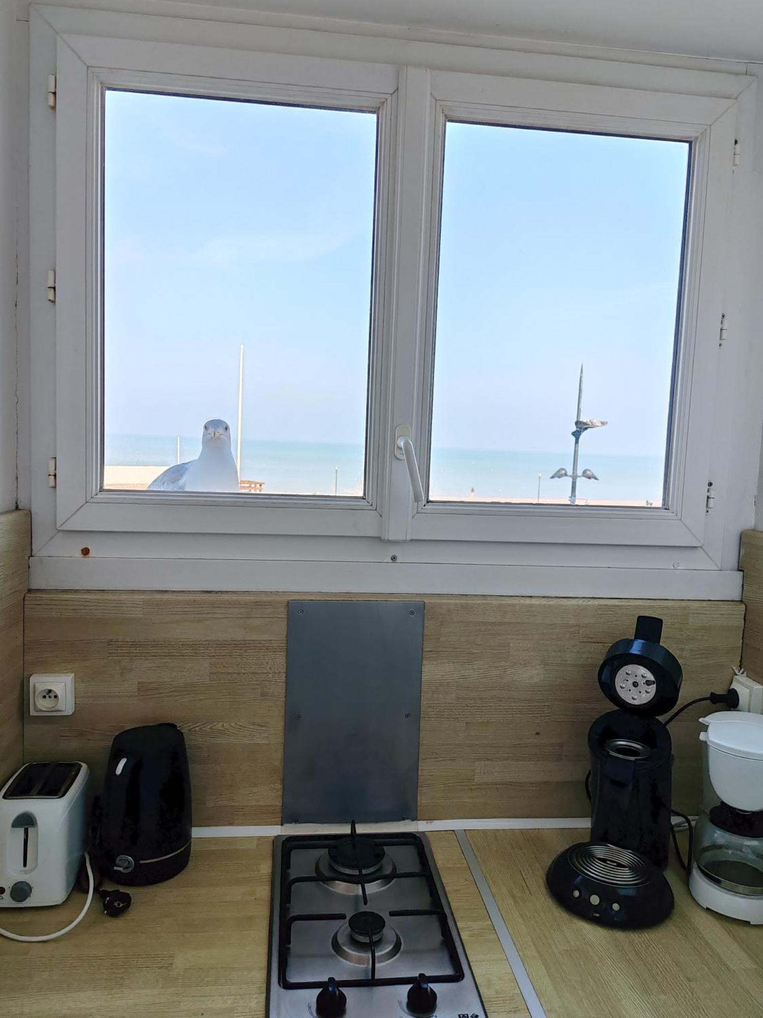 Apartamento Goéland Le Tréport Habitación foto
